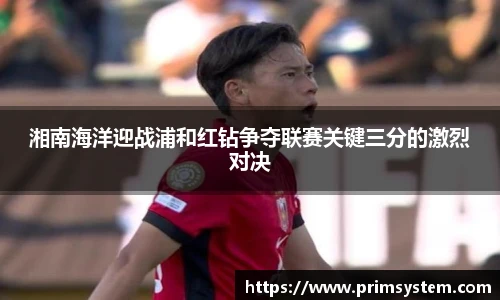 芒果体育官网入口