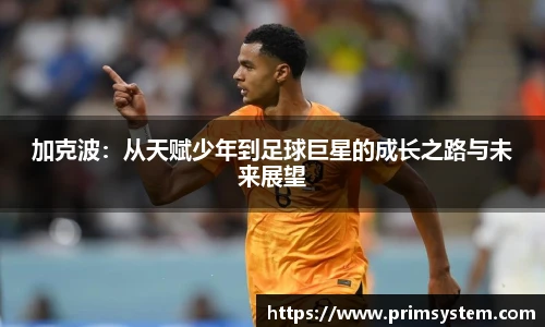 芒果体育官网入口