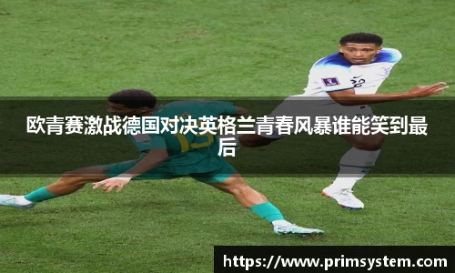 芒果体育官网入口