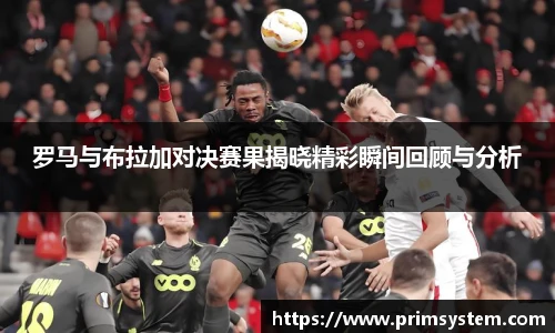 芒果体育官网入口