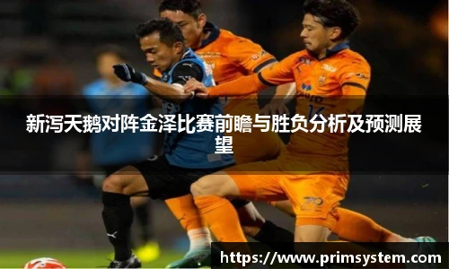 新泻天鹅对阵金泽比赛前瞻与胜负分析及预测展望