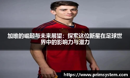 芒果体育官网入口