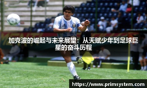 芒果体育官网入口